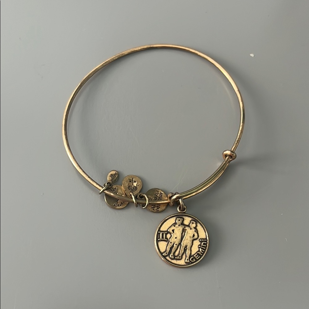 Alex and Ani Gold Charm Bracelet
